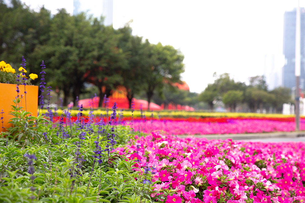 5c77816148aa9.jpg 07.jpg