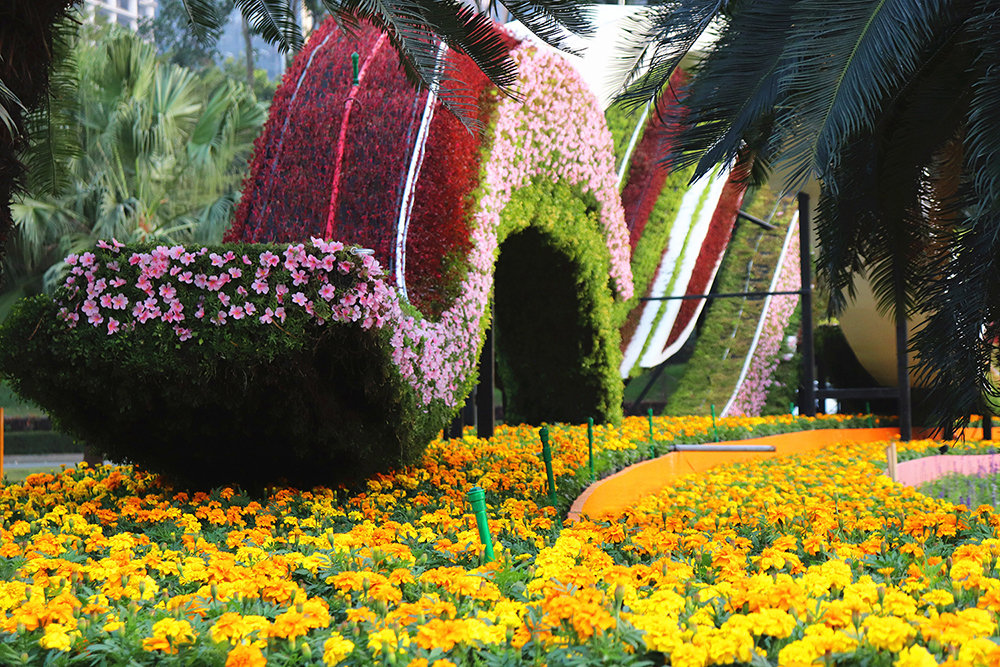 5c7782af1c619.jpg 10.jpg