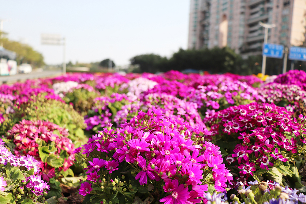 5c7783463debe.jpg 15.jpg