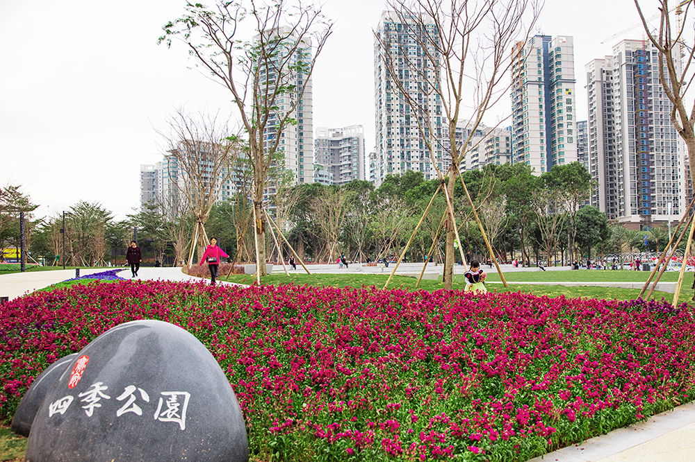 5c779bf005272.jpg 5c5268bd7ff21.jpg