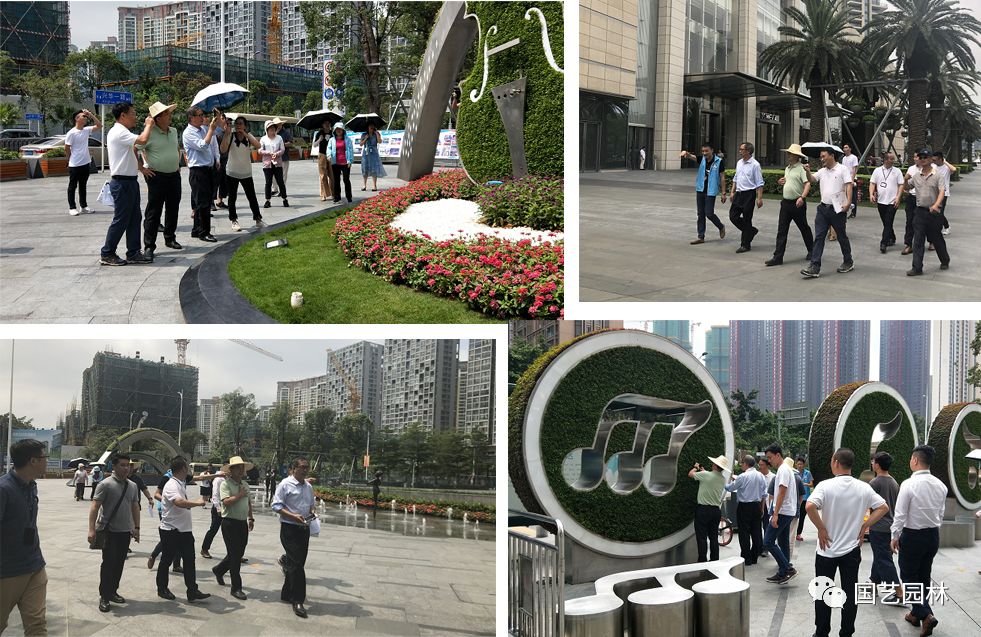 5d5f61921d340.jpg 5d5f61921d340.jpg