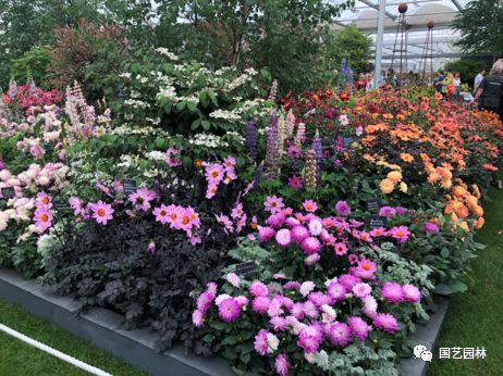 5d5f8884efdad.jpg 5d5f8884efdad.jpg