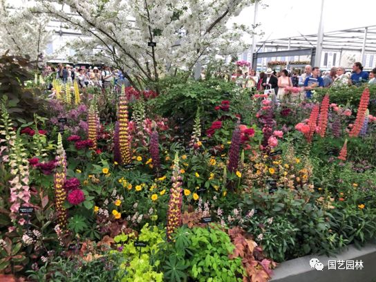 5d5f88885e699.jpg 5d5f88885e699.jpg