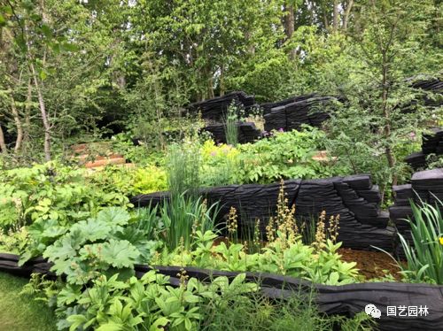 5d5f888a2abea.jpg 5d5f888a2abea.jpg