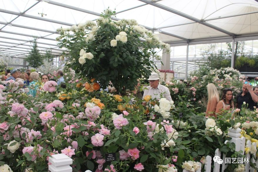 5d5f888bbc968.jpg 5d5f888bbc968.jpg