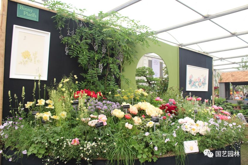 5d5f888ee8f69.jpg 5d5f888ee8f69.jpg