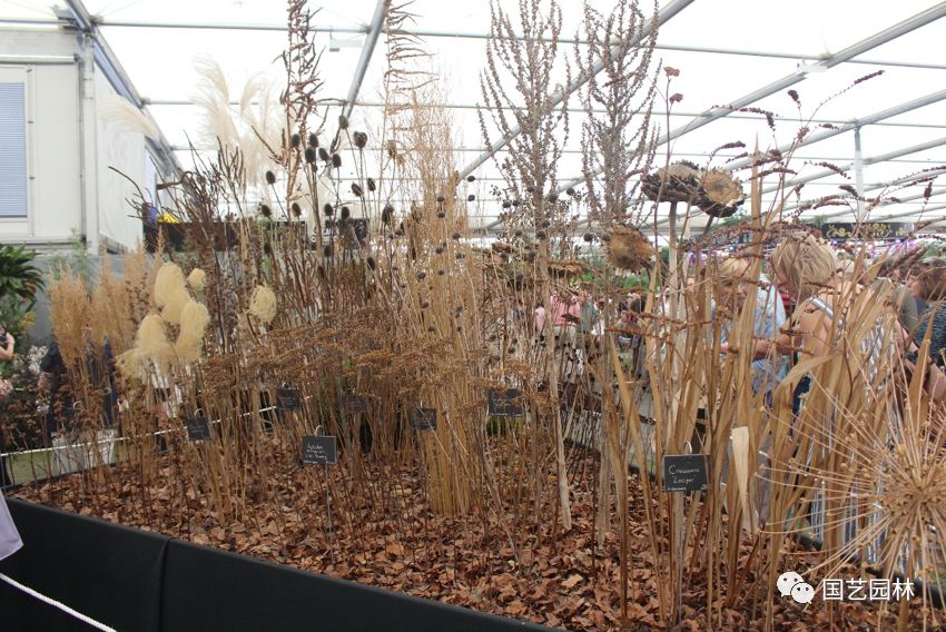 5d5f889042c56.jpg 5d5f889042c56.jpg