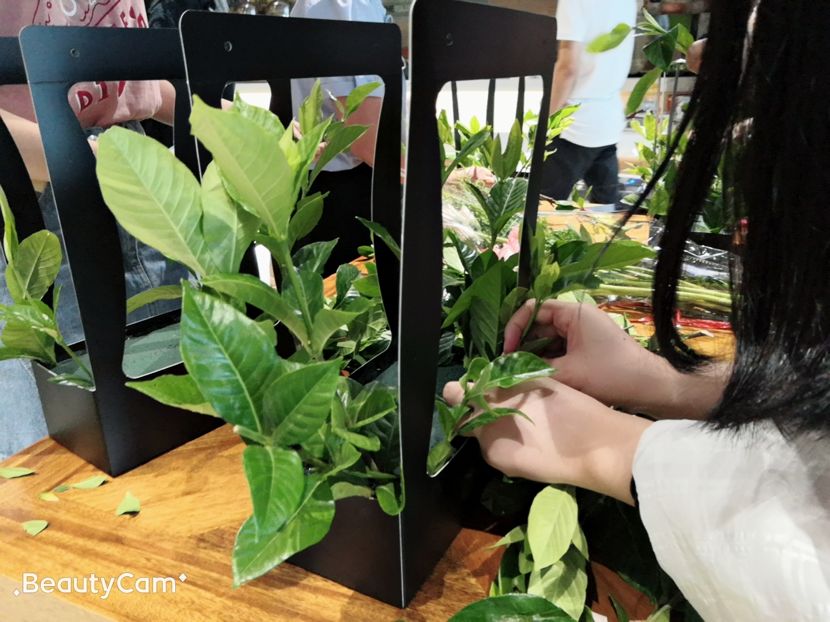 5d677e10cb2de.jpg 5d677e10cb2de.jpg