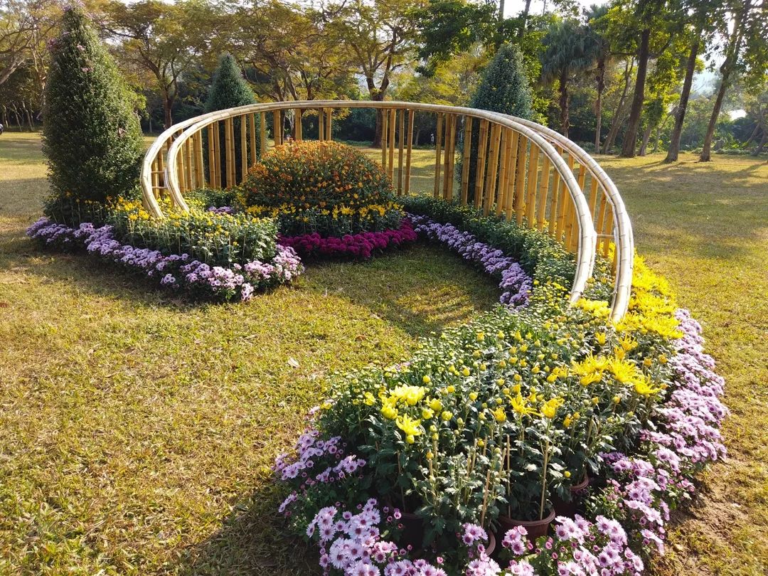 5e030315c388e.jpg 5e030315c388e.jpg