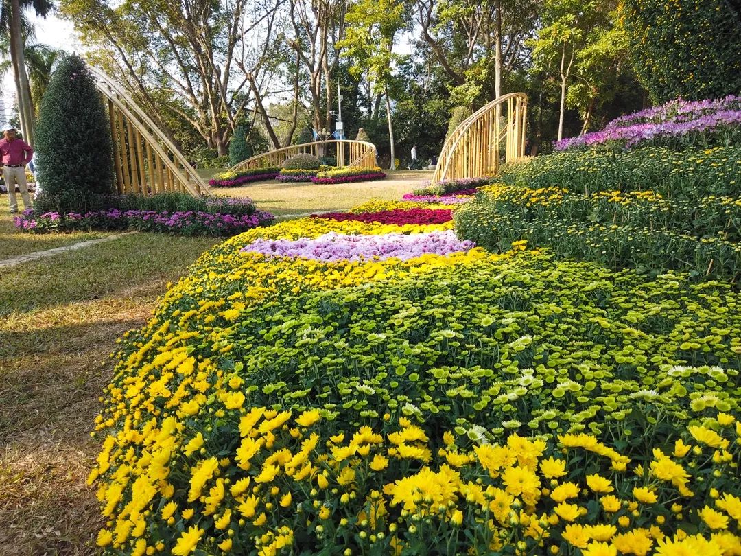 5e03033c4338a.jpg 5e03033c4338a.jpg