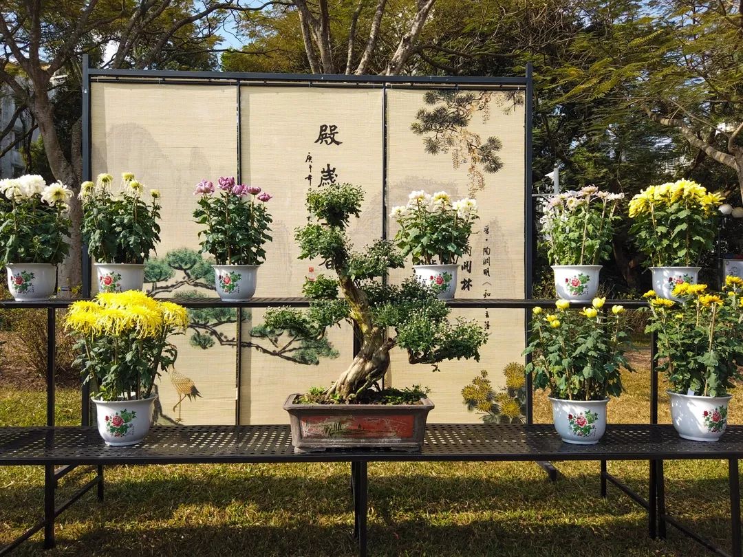 5e0304e2cf3c8.jpg 5e0304e2cf3c8.jpg