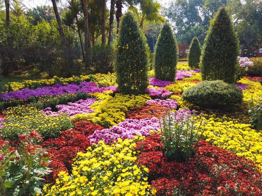 5e0305fcb5cec.jpg 5e0305fcb5cec.jpg