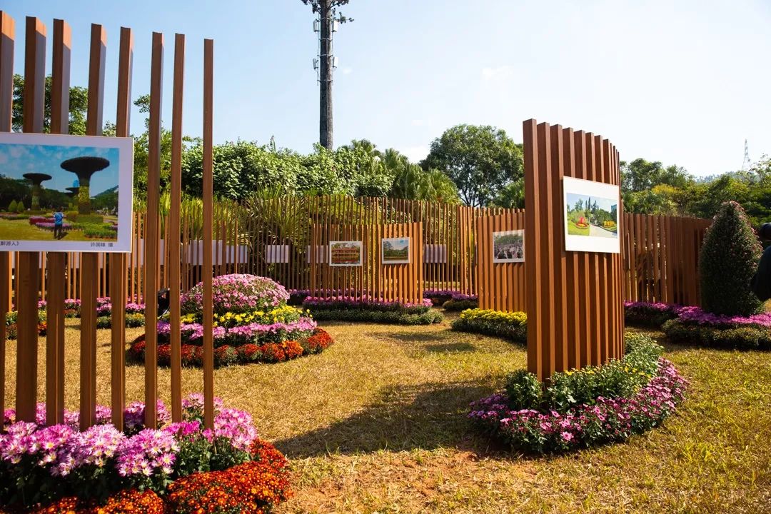 5e0305fe49369.jpg 5e0305fe49369.jpg