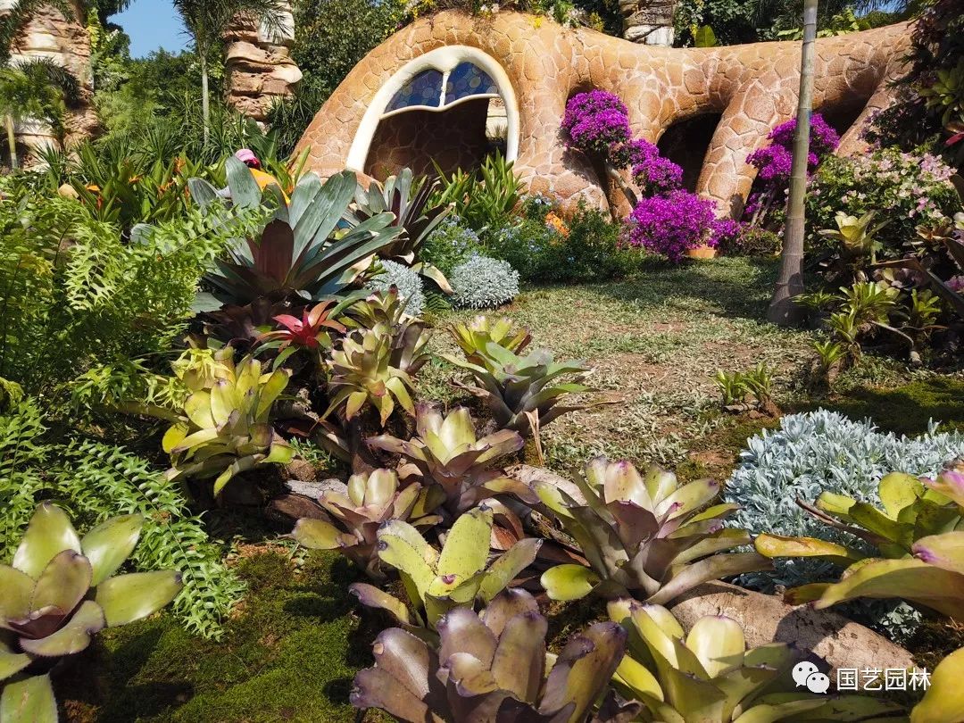 5e031eb96055d.jpg 5e031eb96055d.jpg