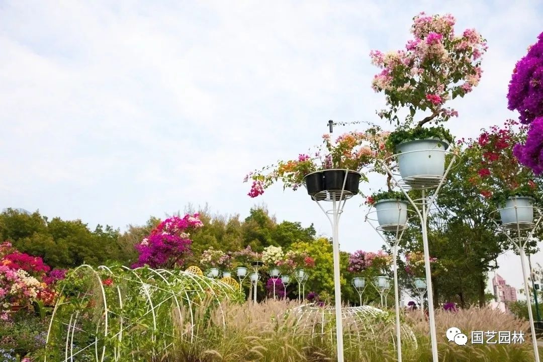 5e031effa04b8.jpg 5e031effa04b8.jpg