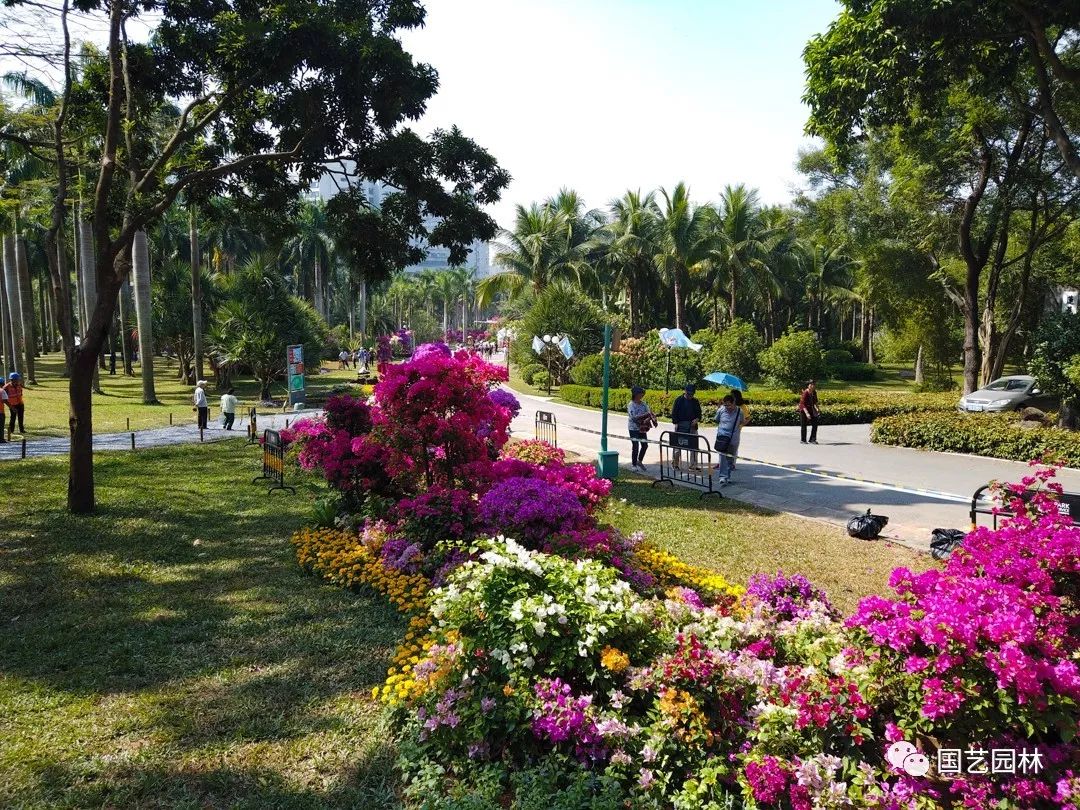 5e031fe63aecb.jpg 5e031fe63aecb.jpg