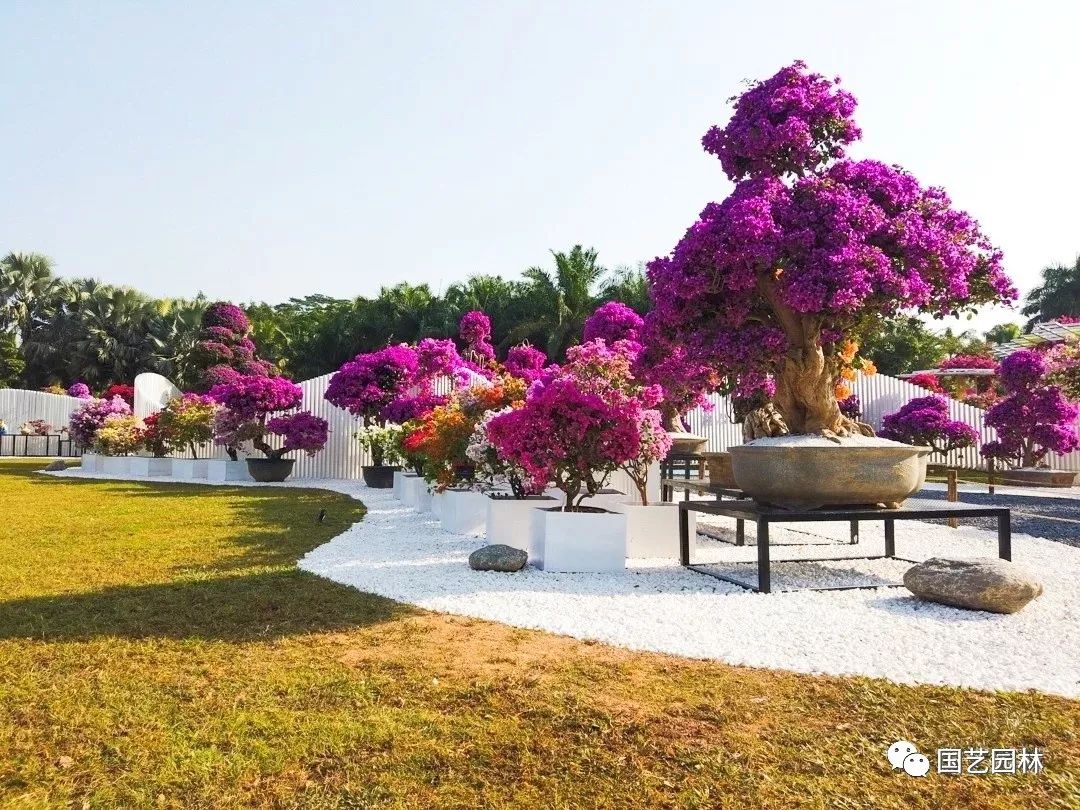 5e032164e600a.jpg 5e032164e600a.jpg