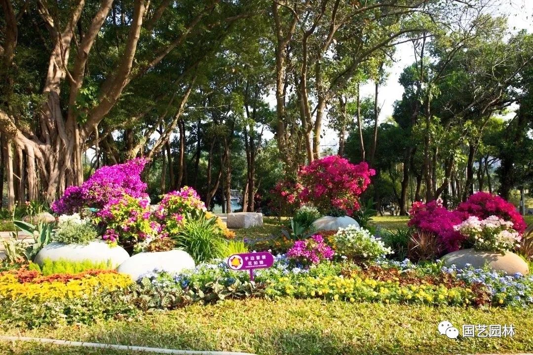 5e0321caa66eb.jpg 5e0321caa66eb.jpg