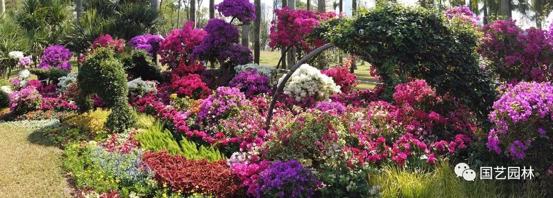 5e03224c71623.jpg 5e03224c71623.jpg