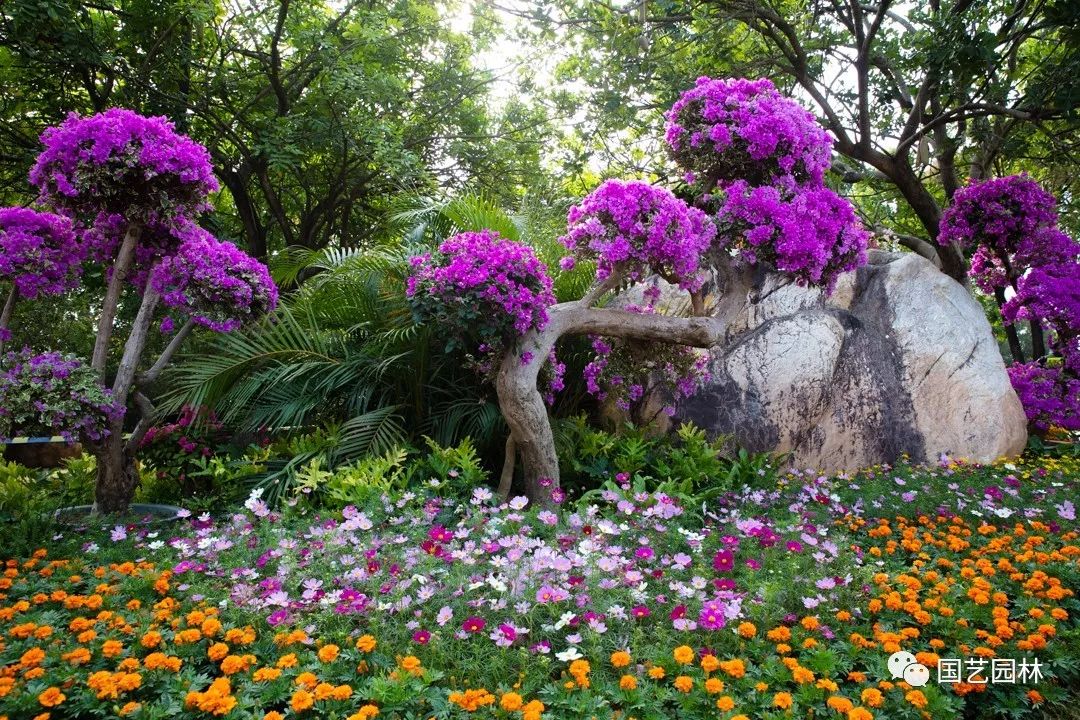 5e03224e5072b.jpg 5e03224e5072b.jpg