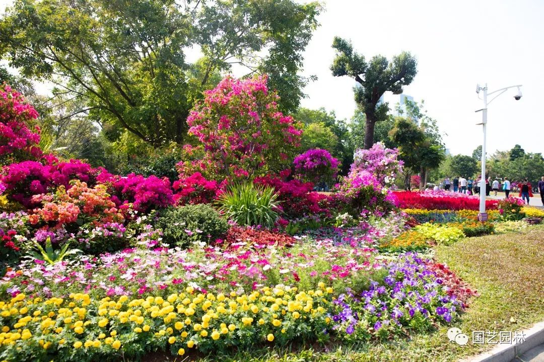 5e03224fbaf36.jpg 5e03224fbaf36.jpg