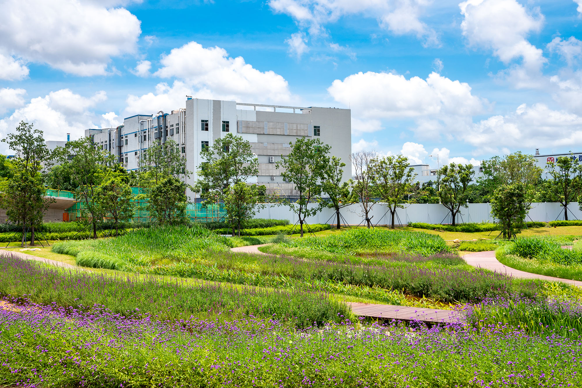 5f1a51b948b76.jpg 5f1a51b948b76.jpg