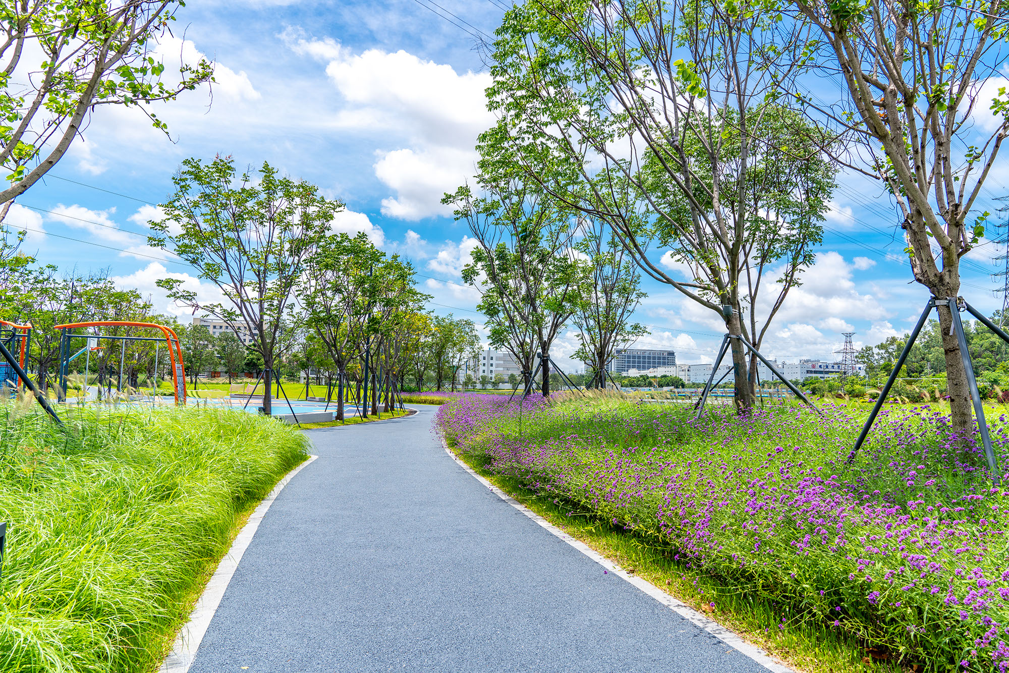 5f1a51bb5d0fa.jpg 5f1a51bb5d0fa.jpg