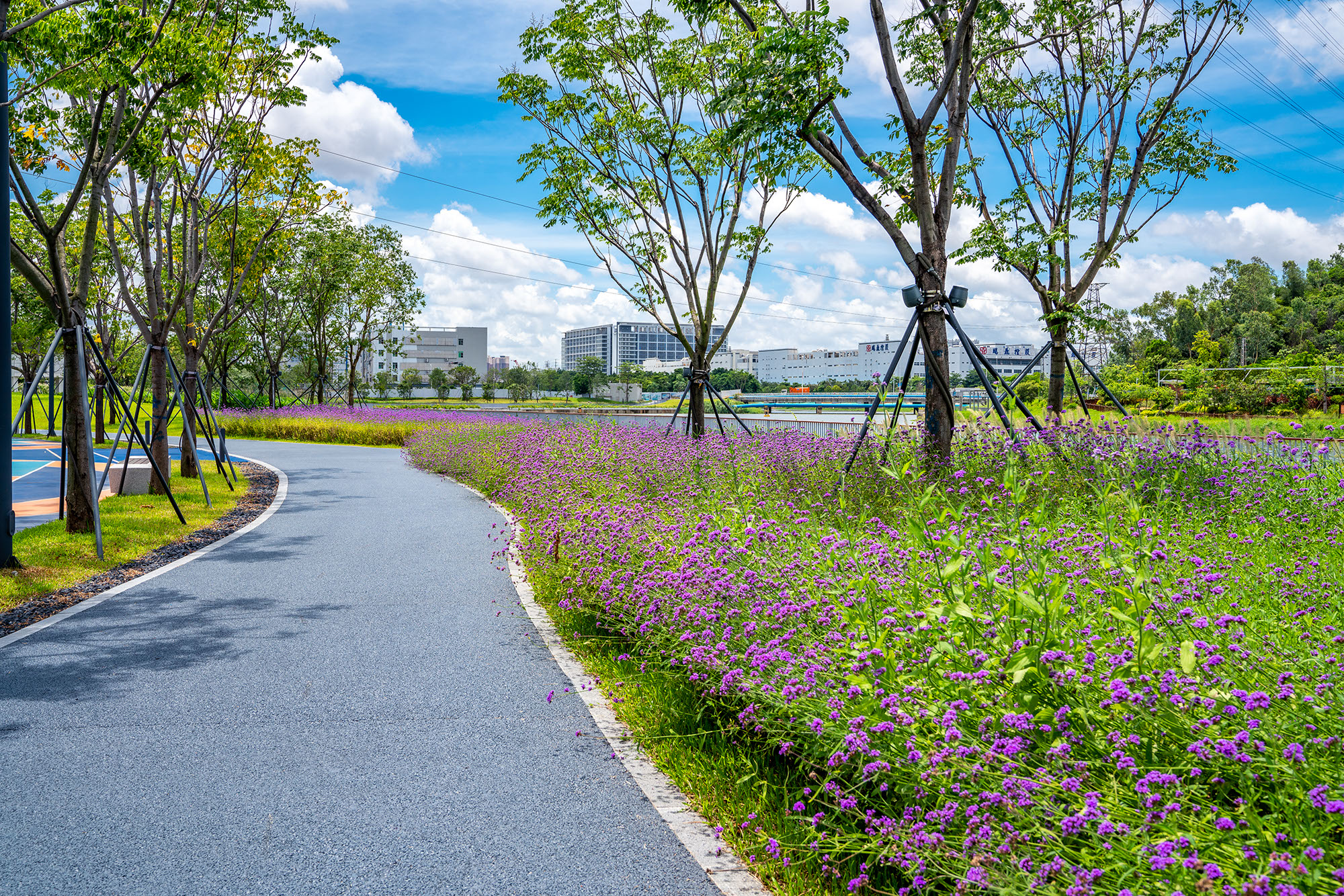 5f1a51be04f51.jpg 5f1a51be04f51.jpg