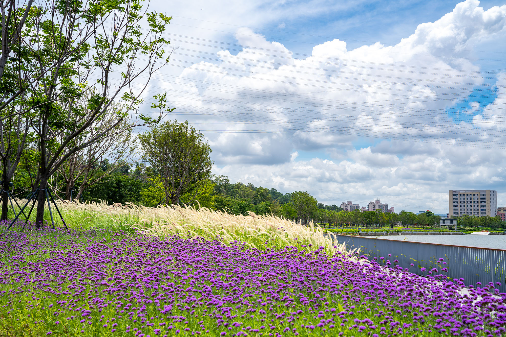 5f1a51c0292b4.jpg 5f1a51c0292b4.jpg