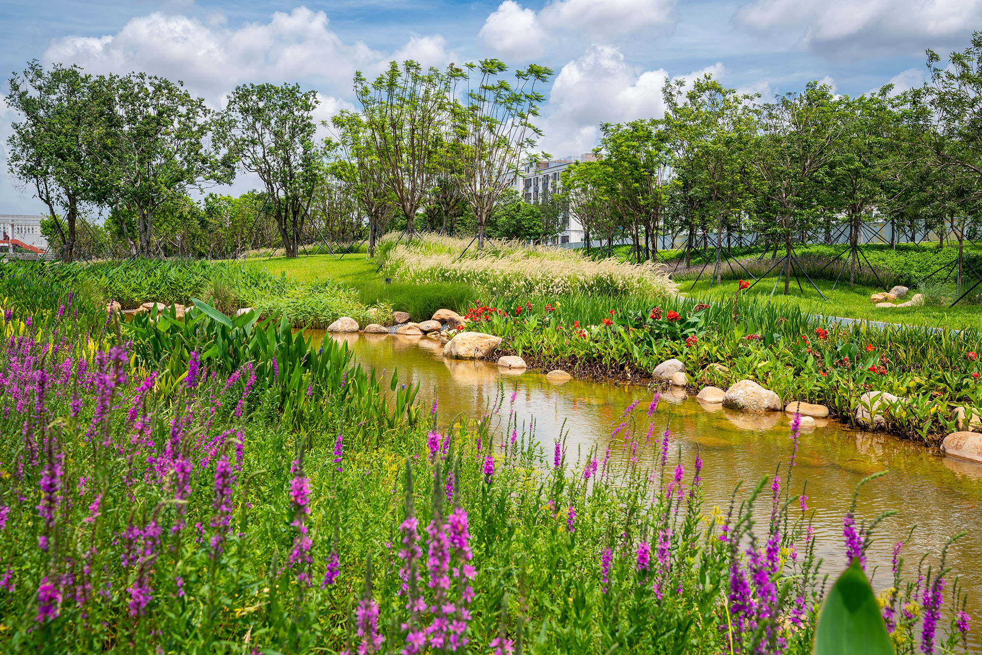 5f1a51c2e5629.jpg 5f1a51c2e5629.jpg