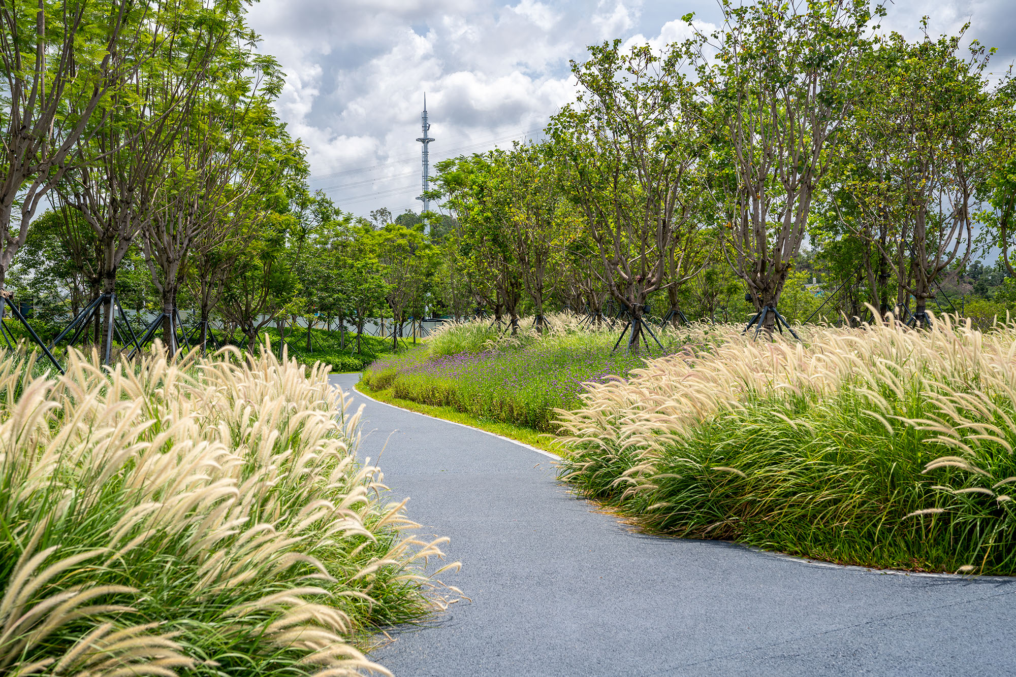 5f1a51c4dc6d9.jpg 5f1a51c4dc6d9.jpg