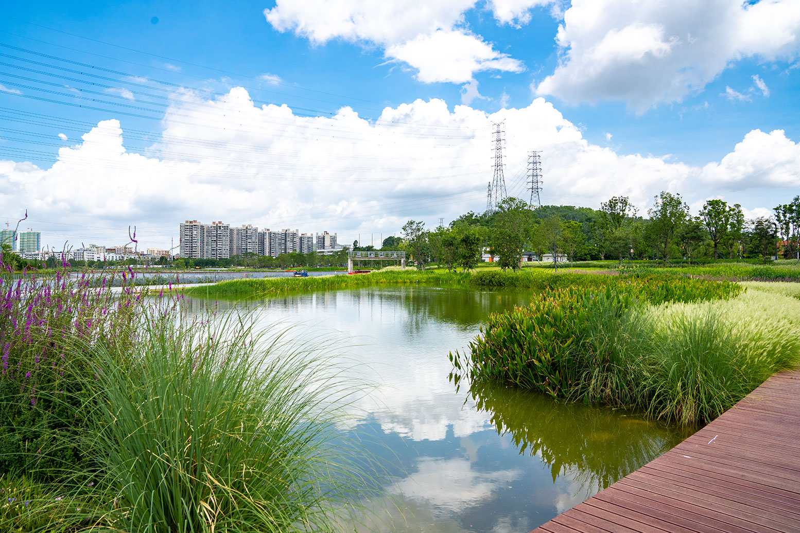 5f1a52095673d.jpg 5f1a52095673d.jpg