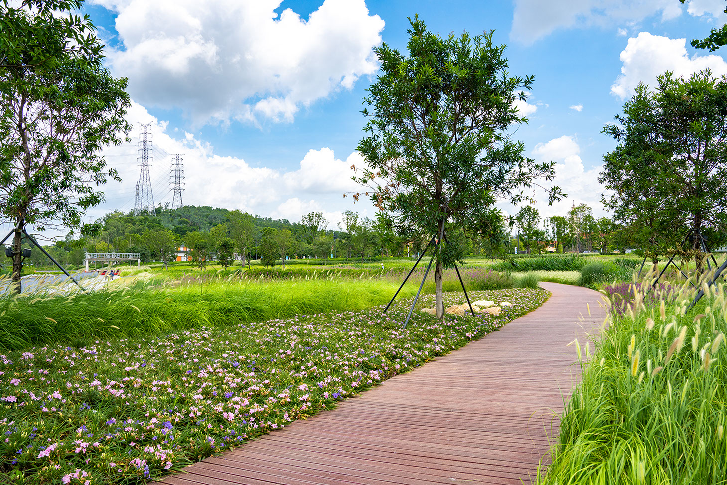 5f1a520c0208f.jpg 5f1a520c0208f.jpg