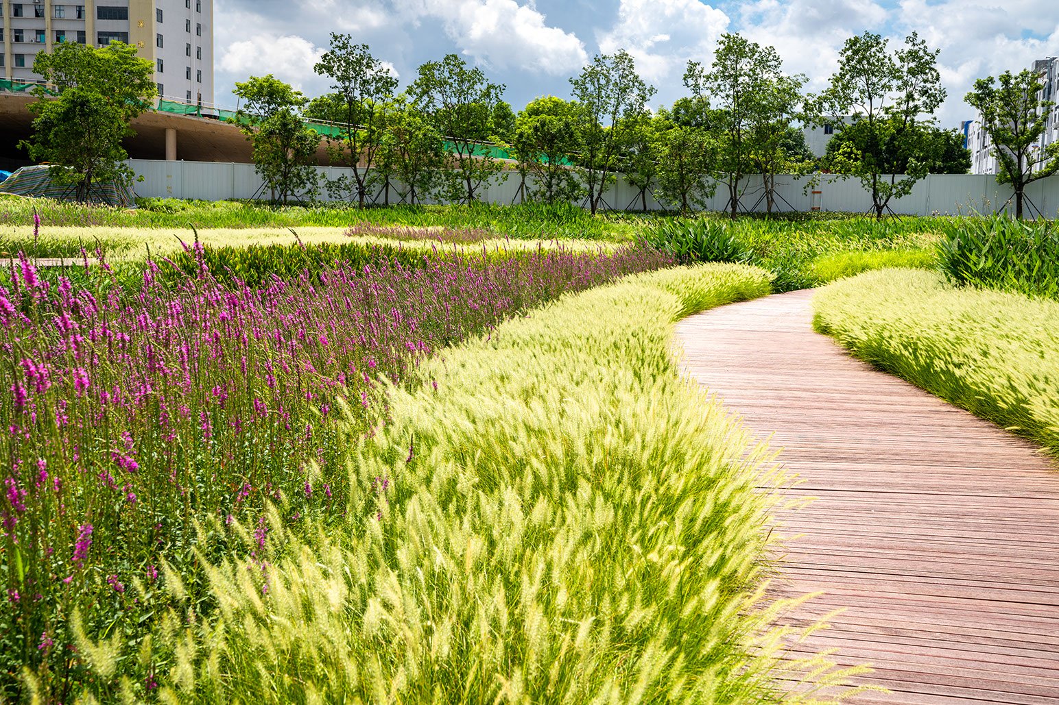 5f1a5217e4fca.jpg 5f1a5217e4fca.jpg