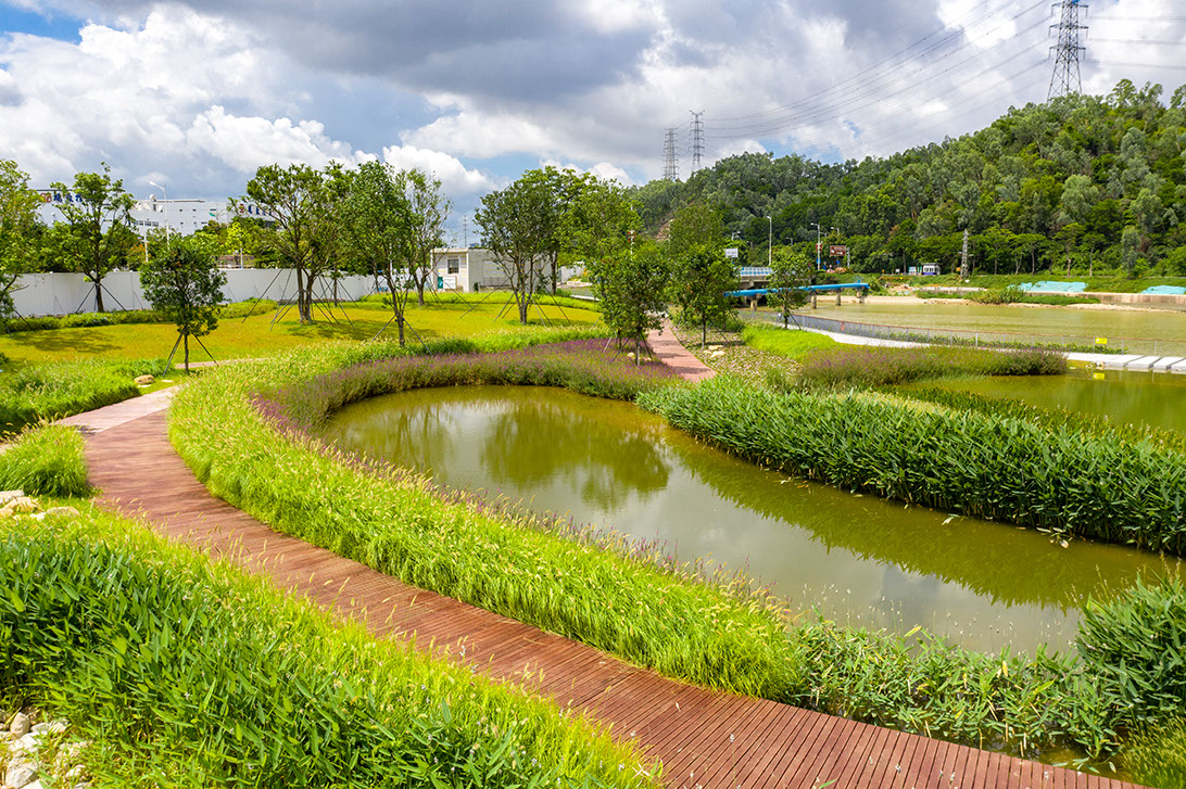 5f1a5227ccdae.jpg 5f1a5227ccdae.jpg