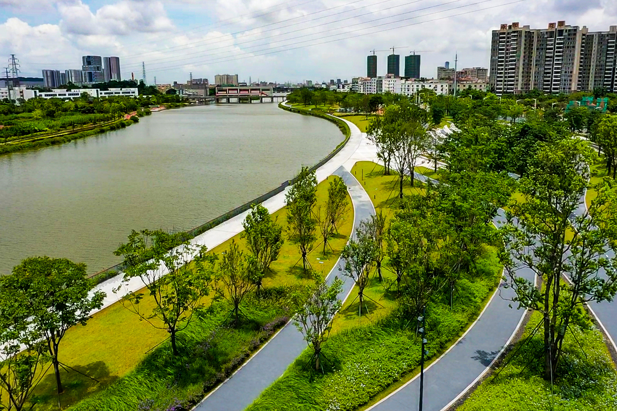 5f1a8389e2382.jpg 5f1a8389e2382.jpg