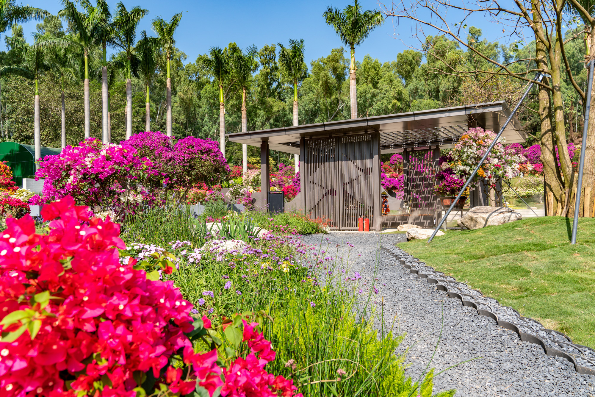 5fe9547dbe362.jpg DSC05774.jpg