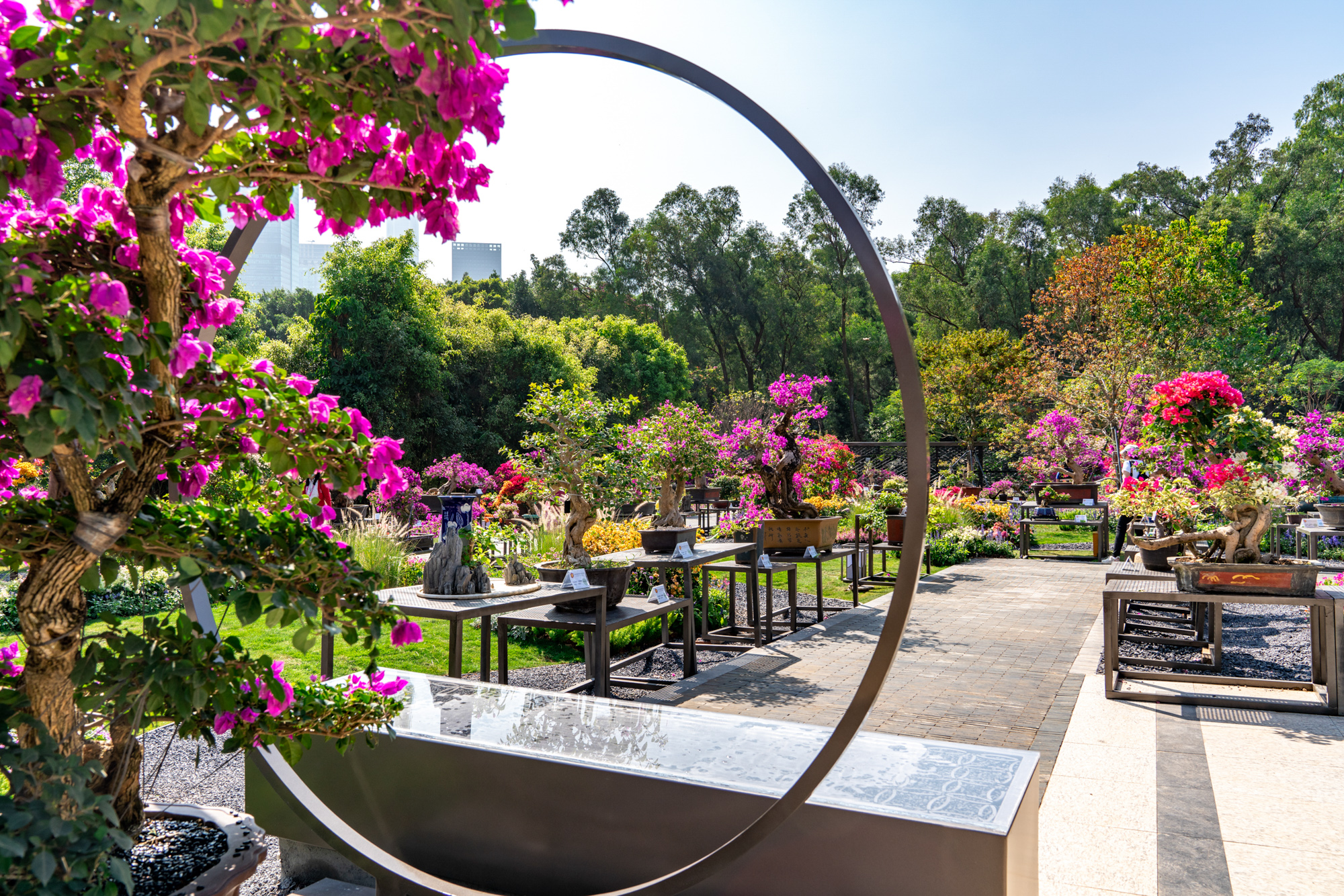 5fe954f9c6529.jpg DSC05812.jpg