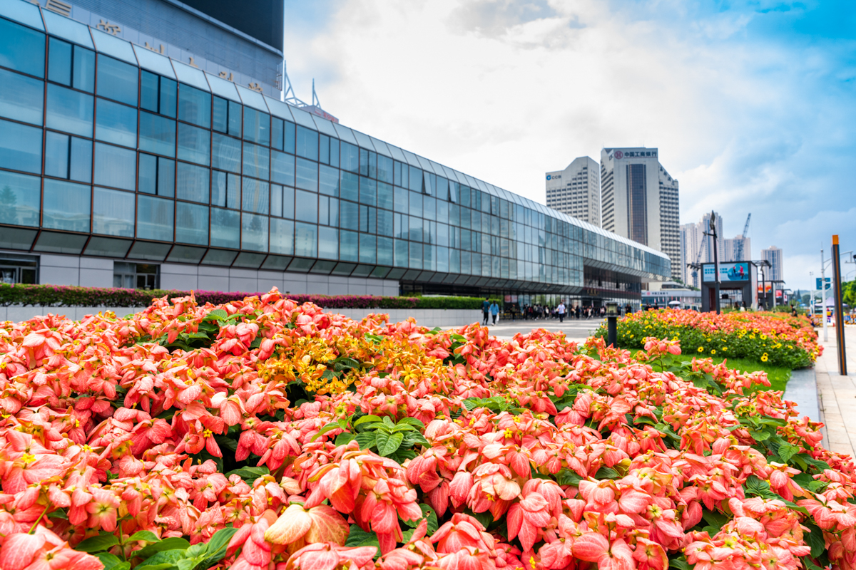 6098edc88fa35.jpg DSC02312.jpg