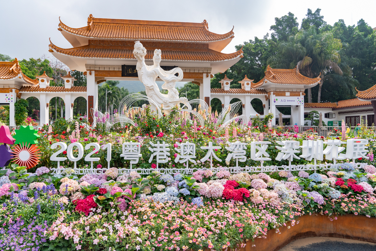 6099fdb764368.jpg DSC08246.jpg