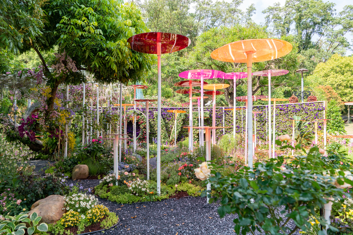 6099fe102d3b2.jpg DSC08335.jpg