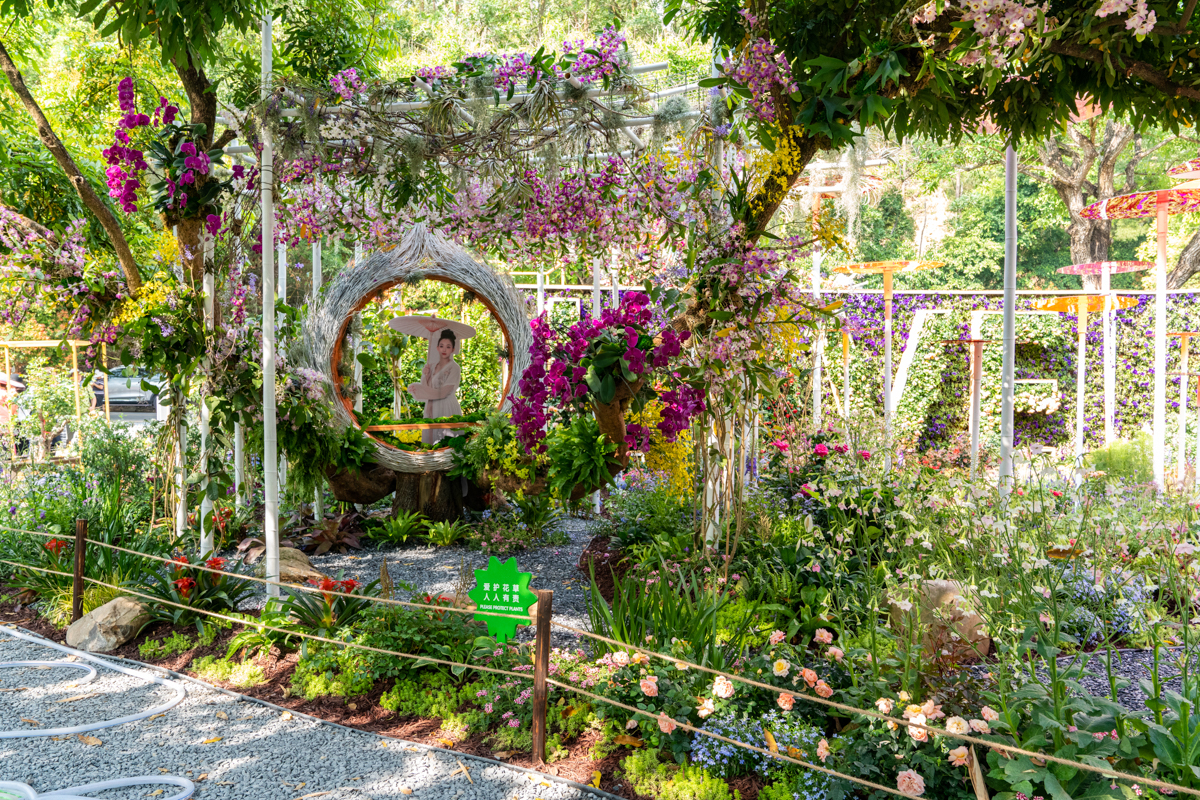 6099fe2e5530a.jpg DSC08340.jpg