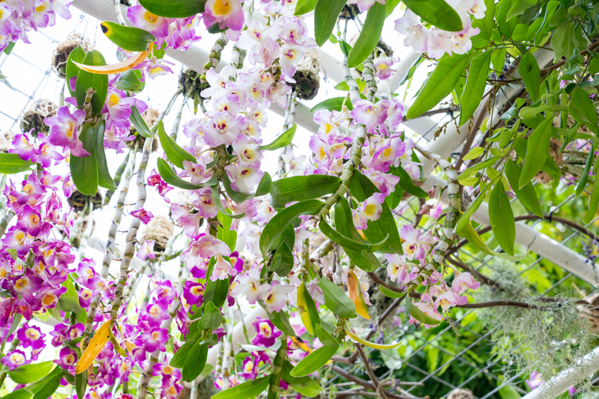 6099fe6992adf.jpg DSC08356.jpg