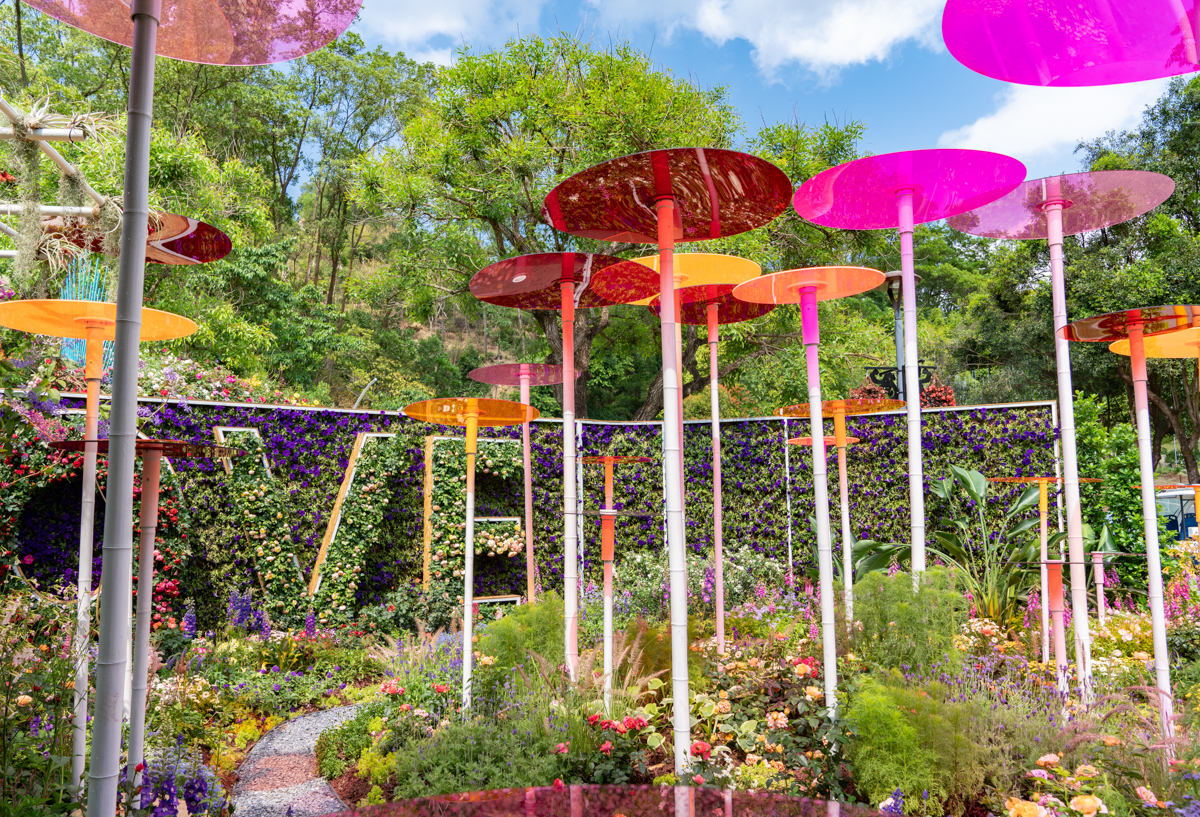 6099fec8cc507.jpg DSC08309.jpg