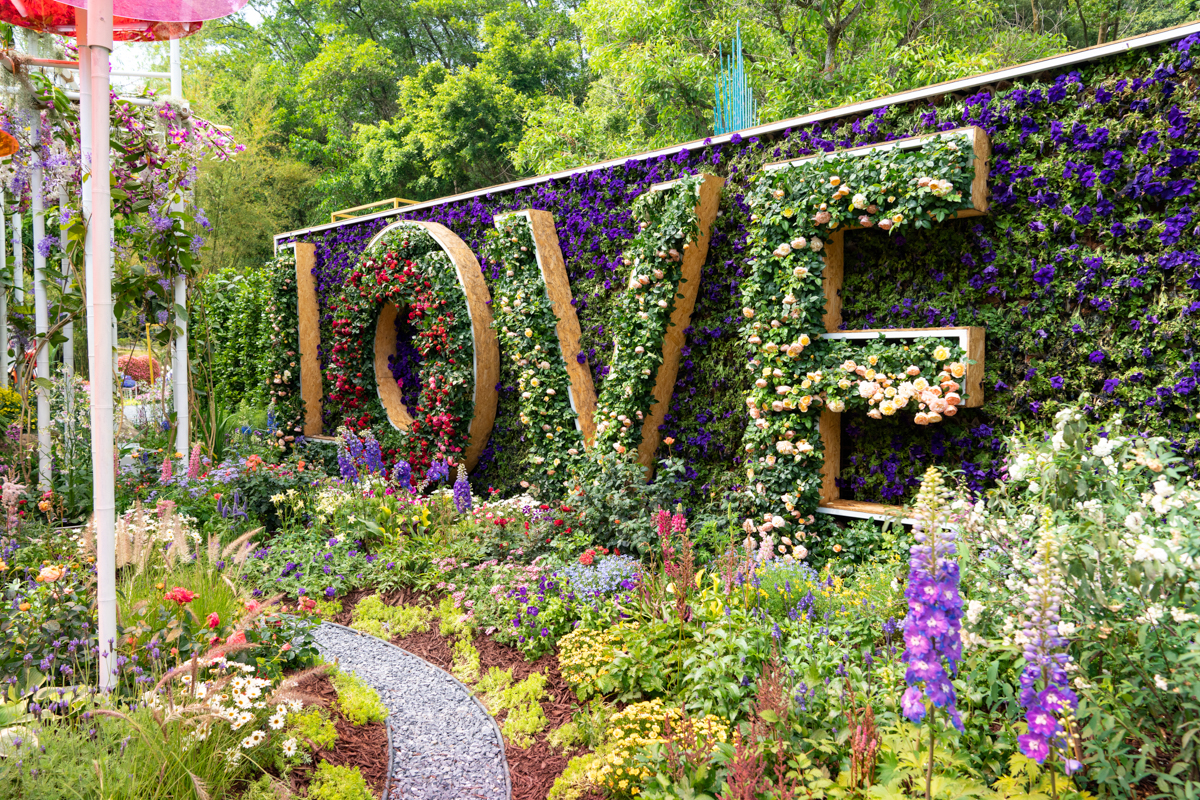 6099fef1de622.jpg DSC08320.jpg