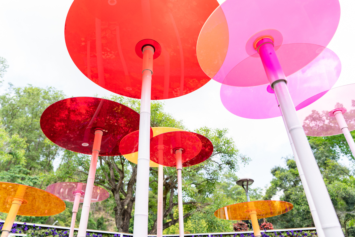 6099ff0bc0b90.jpg DSC08315.jpg