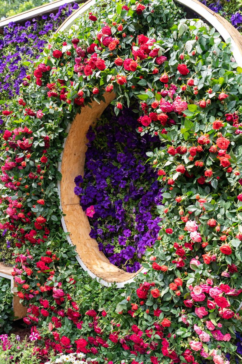 6099ff2ab85af.jpg DSC08308.jpg