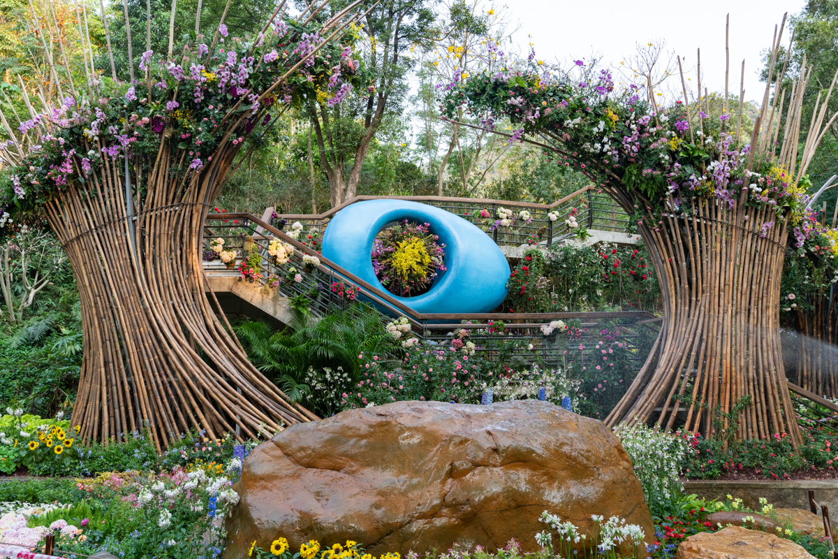 609a00dad401c.jpg DSC08454.jpg