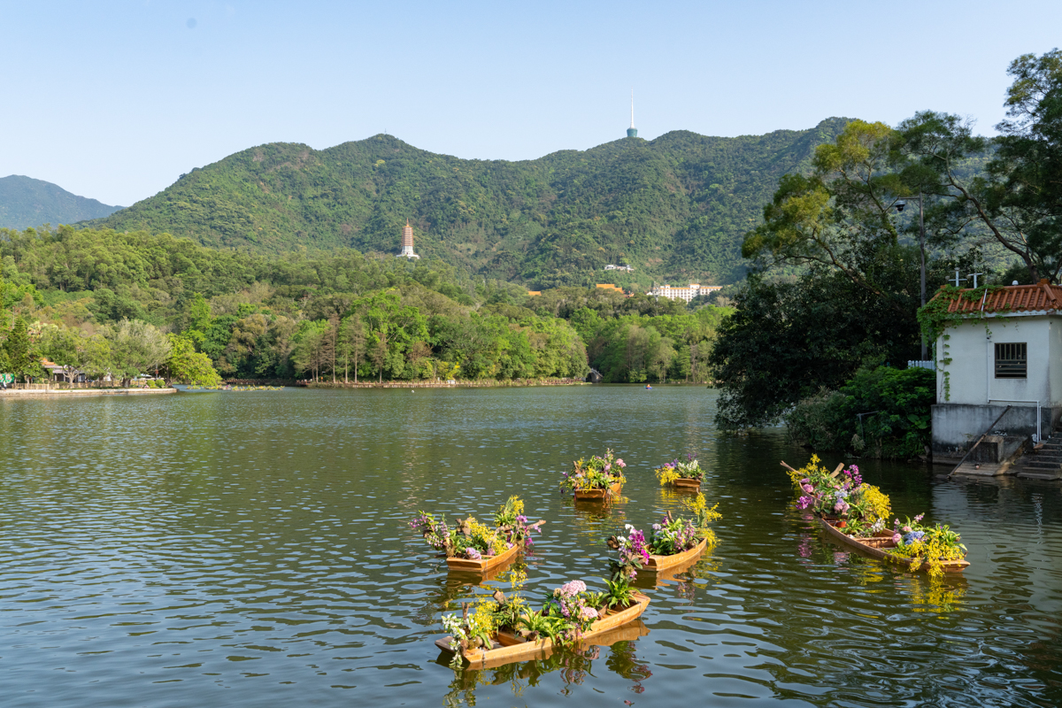 609a01905f124.jpg DSC08406.jpg