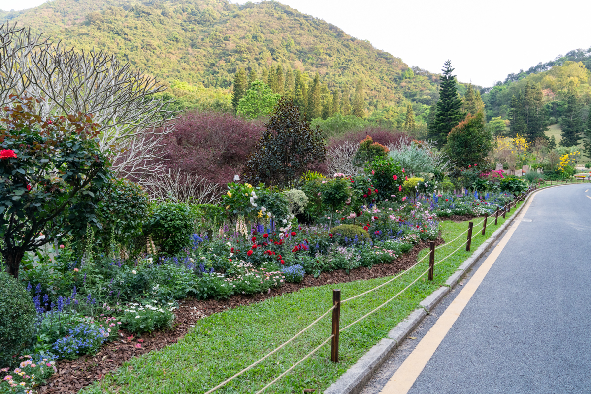 609a01d60e519.jpg DSC08465.jpg